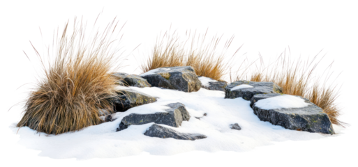 Rocky snowy grass field vegetation outdoors scenery.