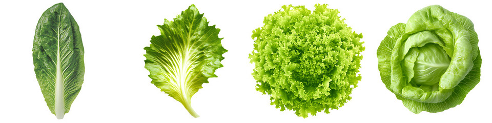 Obraz premium Set of a lettuce leaf, isolated on a transparent background.