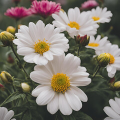 Fototapeta premium Flower
