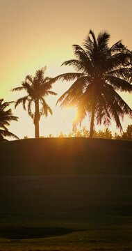 Golden Sunset Behind Scenic Tropical Palm Trees on a Serene Beach shore, palms silhouettes