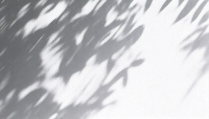 Fototapeta premium Minimal Abstract Expression of Leaf Shadows on a White Wall