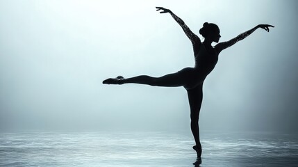 Obraz premium silhouette of a lady dancing