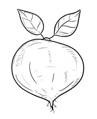 yicama  digital illustration drawing isolated