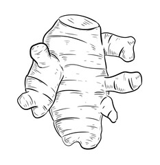 turmeric wood  digital illustration drawing isolated