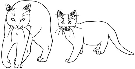 illustration of cat and kitten