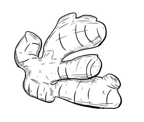 ginger digital illustration drawing isolated