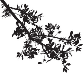 Vector illustration of oak branch with leaves