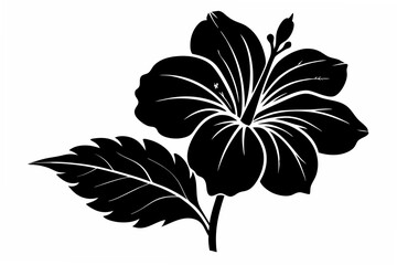 botanical hibiscus silhouette vector illustration