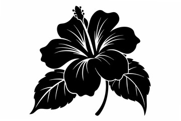 botanical hibiscus silhouette vector illustration