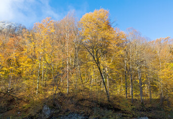 the first frosts, outdoor walks in a nature park with an overview of the area and the river