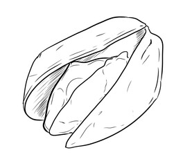 pistachio digital illustration drawing isolated