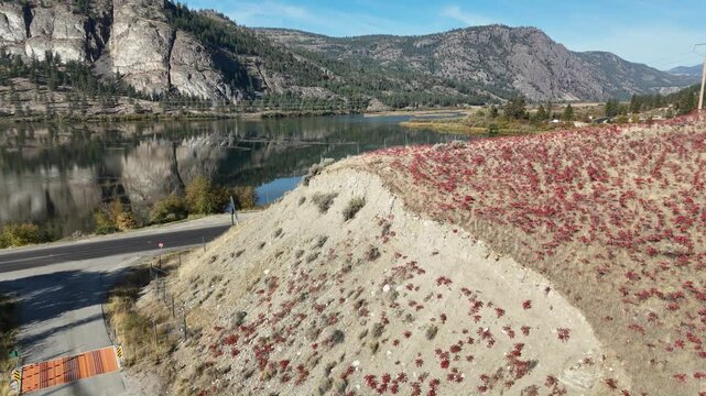 VASEUX LAKE 154