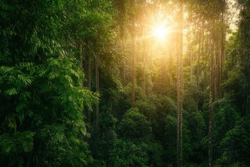 Obraz premium Sunlight filters through a dense canopy of vibrant green leaves in a peaceful summer forest, creating beautiful dappled light patterns.