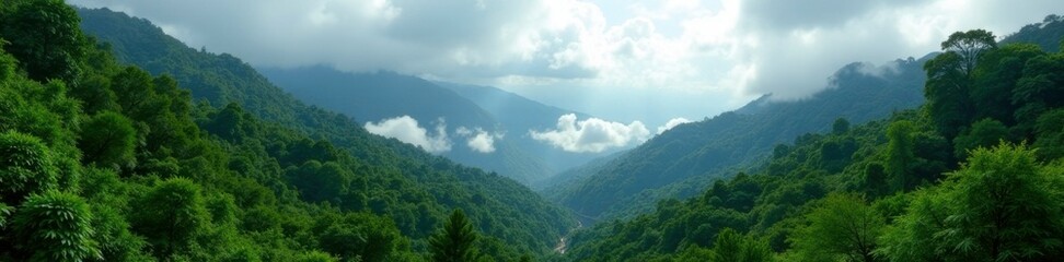 Fototapeta premium Vegetation and trees in the cloud forest of Tegueste, landscape, vegetation, foliage