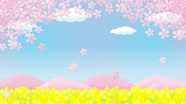 Animated spring vector background with falling cherry blossoms and canola flowers