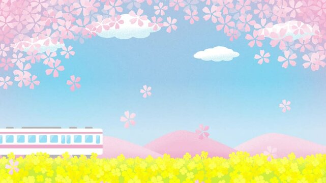 Animated spring vector background with a train with falling cherry blossoms and canola flowers