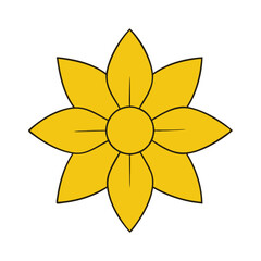 Cathartica golden flower on a white background.