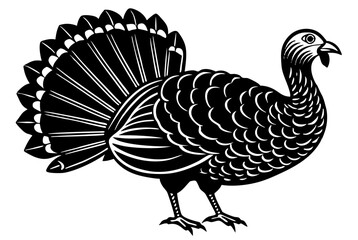 Turkey cock bird animal silhouette