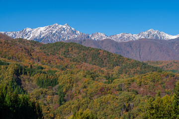 雪山と紅葉