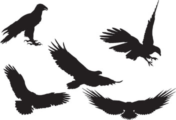 Eagle Silhouettes Majestic Birds in Flight for Minimalist Design