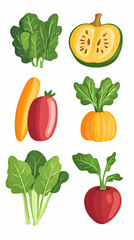 Fototapeta premium Colorful vegetables, healthy eating, autumn harvest, food illustration, recipe website