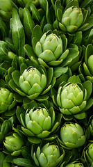 Fototapeta premium Fresh green artichokes in garden; close-up; natural background; food ingredient, recipe image