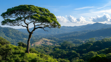 Obraz premium Majestic tree atop hill, overlooking lush green mountains under a bright blue sky; perfect for nature, travel, and environmental publications