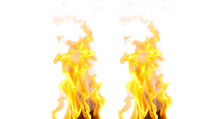 A Dangerous fire isolated on cutout background