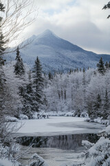 Frozen lake surrounded by snow-covered trees and mountains during winter