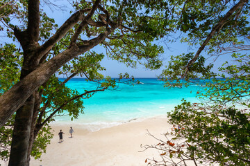 Koh Tachai is an island in the Similan Islands National Park in Lam Kaen Subdistrict, Thai Mueang, Phang Nga Province, An island with white sandy beaches and crystal clear water