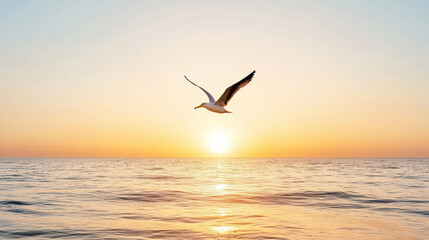 Fototapeta premium silhouette of bird soaring over tranquil ocean at sunset