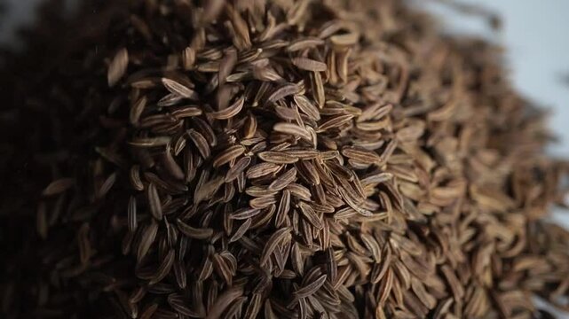 Fragrant cumin is poured into a cup. Caraway seeds. Healthy eating and lifestyle. 