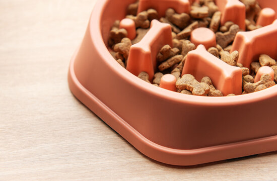 Slow feeder dog bowl preventing gulping and improving digestion