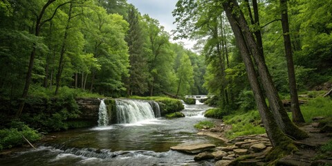 Gentle trickle of waterfalls through the trees in a dense wood creating a soothing melody, foliage, , wood, trees, stream