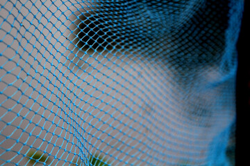  Mesh patterned blue net fence
