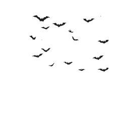 bat and bats shilahoutte vector  bundle on white background 