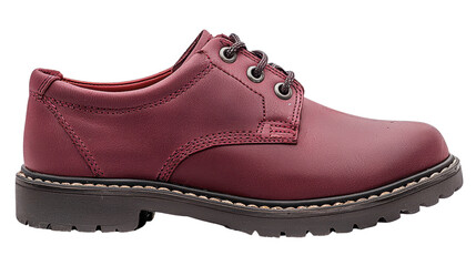 Elegant maroon leather shoe with polished surface, lace-up design, durable sole, and stylish stitching for versatile fashion and comfort in footwear
