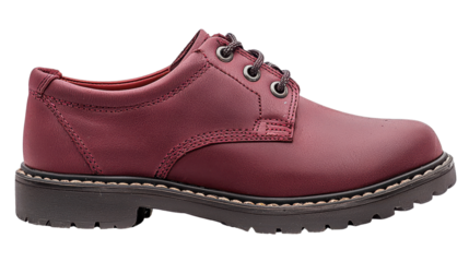 Elegant maroon leather shoe with polished surface, lace-up design, durable sole, and stylish stitching for versatile fashion and comfort in footwear