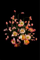 Springtime Bloom, A close-up photograph of a vibrant arrangement of pink tulips and delicate poppies in shades of peach and yellow, creating a striking display against a dark background.