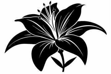 Lily flower silhouette black vector art illustration.