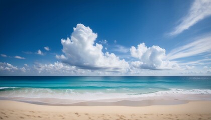 Beautiful tropical beach with palm trees, sunset beach seascape, design template for travel banner.