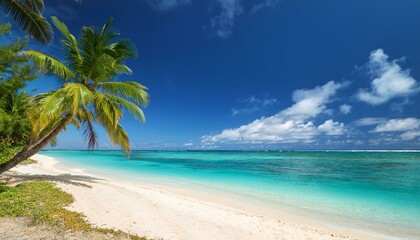Beautiful tropical beach with palm trees, sunset beach seascape, design template for travel banner.