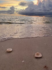 footprints on the beach