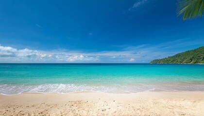 Obraz premium Beautiful tropical beach with palm trees, sunset beach seascape, design template for travel banner.