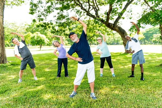 Group of diverse healthy seniors exercising outdoors. Healthy elderly men and women stretching in a park. Active seniors enjoying exercise in the park. Diverse group of senior people exercise in park. - Powered by Adobe