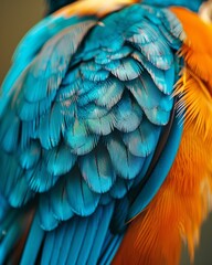 Obraz premium Close-Up Encounter with a Kingfisher's Feathers Captured in Stunning Detail Revealing Nature's Beauty