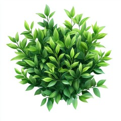 Lush green leaves display nature plant close-up indoor setting top-down view freshness and vibrancy