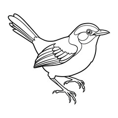 Fototapeta premium Happy Abbott's babbler little bird line art silhouette illustration.