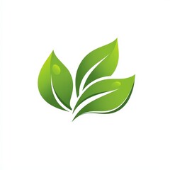 Design of eco green icon logo illustration isolated on white background