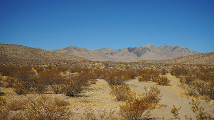 Goodsprings Mining Ghost Town in Nevada